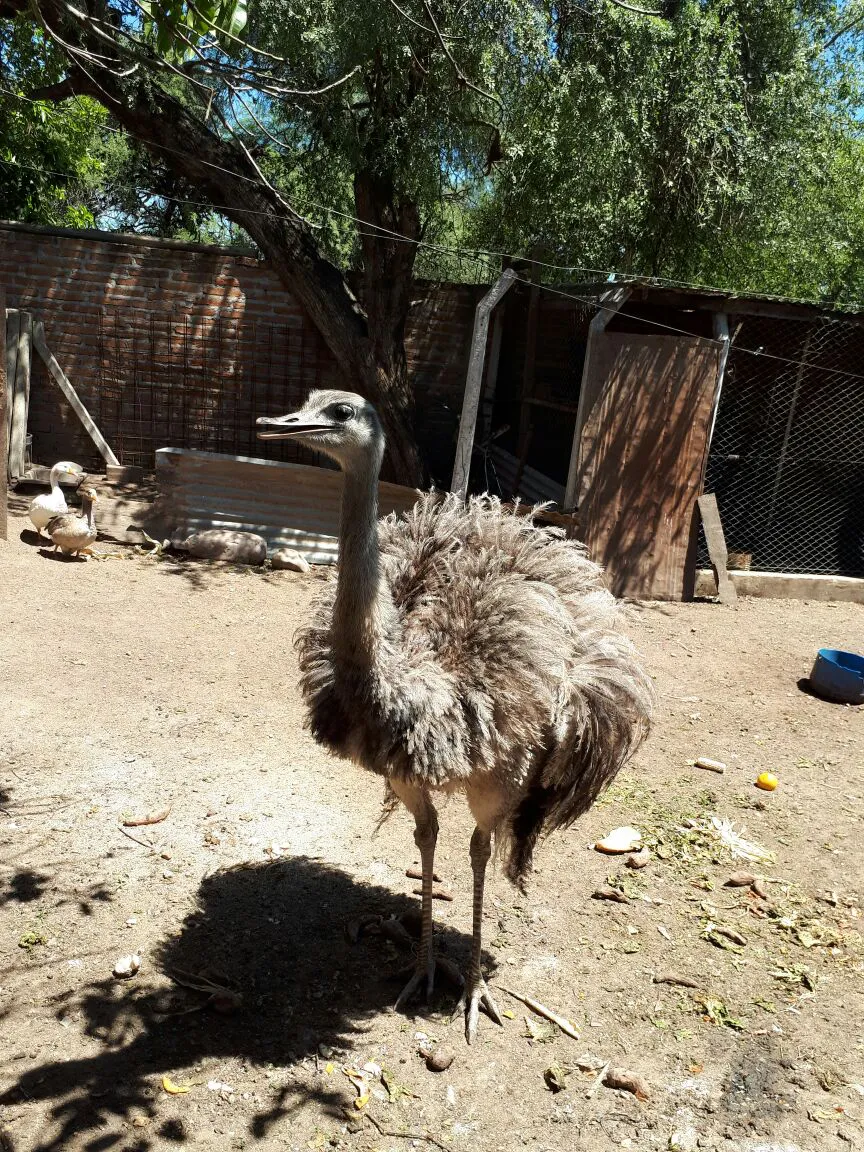 WhatsApp Image 2018-01-05 at 16.06.16