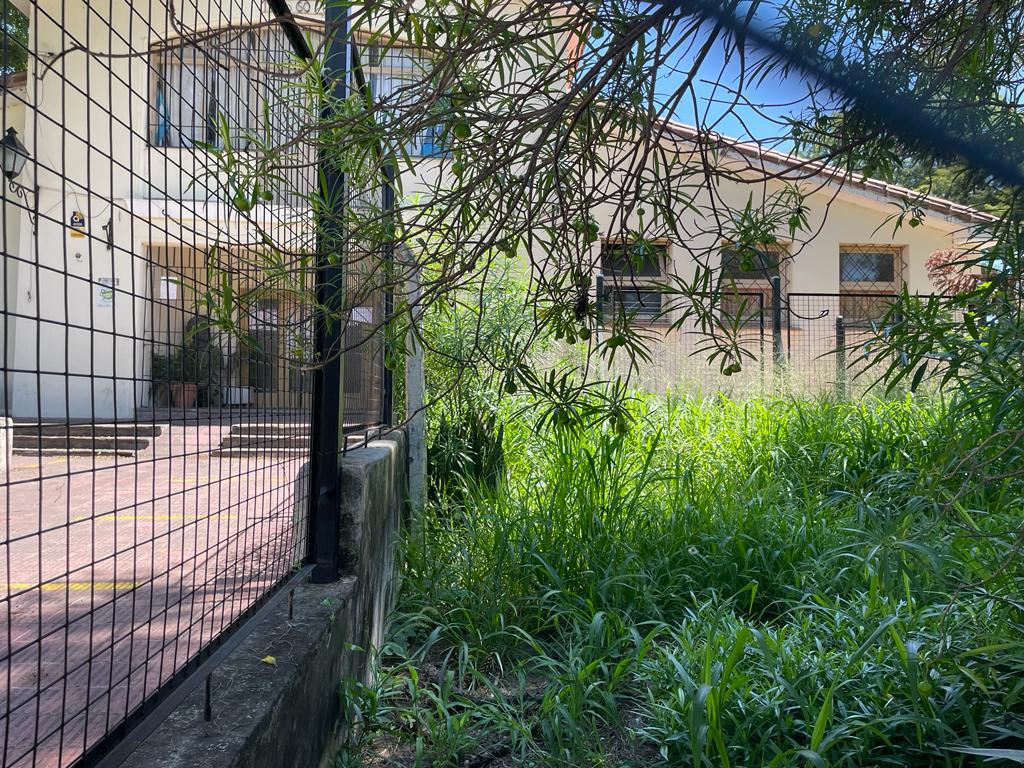 WhatsApp Image 2024-01-26 at 11.43.57 (1)