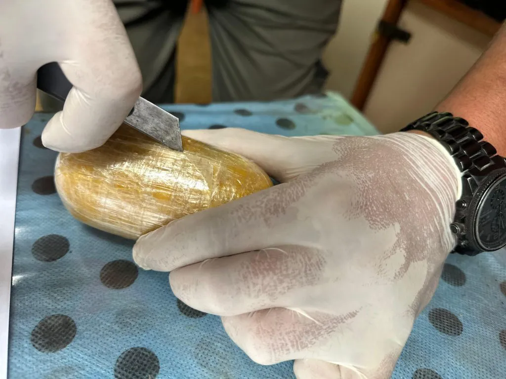 Doga en la terminal 02