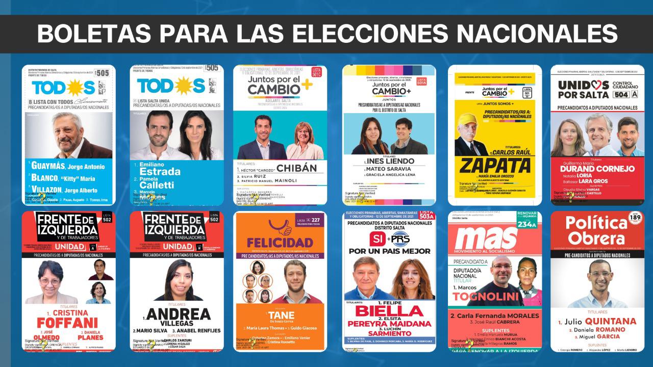 Una A Una, Las Boletas De Los Precandidatos A Diputados Nacionales