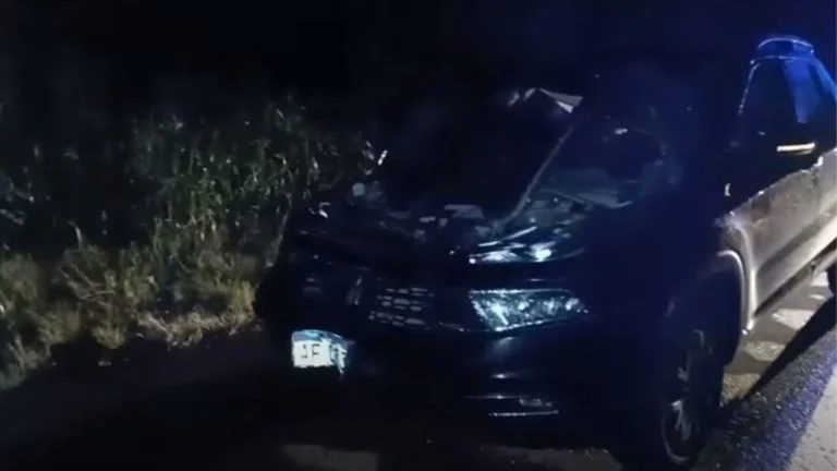 wmremove-transformed (2)