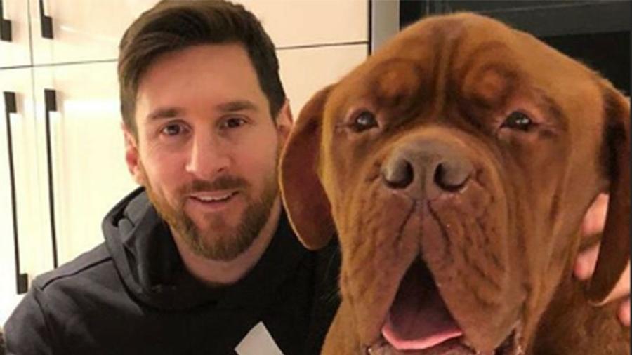 messi - perro hulk
