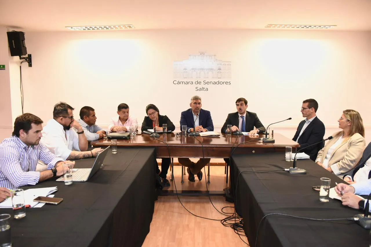 minería senadores cámara de minería de salta