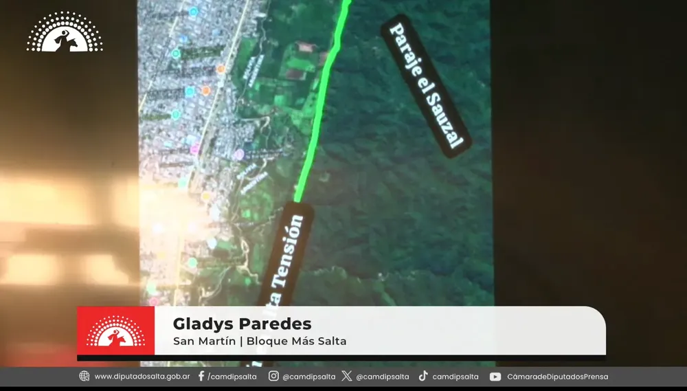 bolivia contamanación salvador mazza