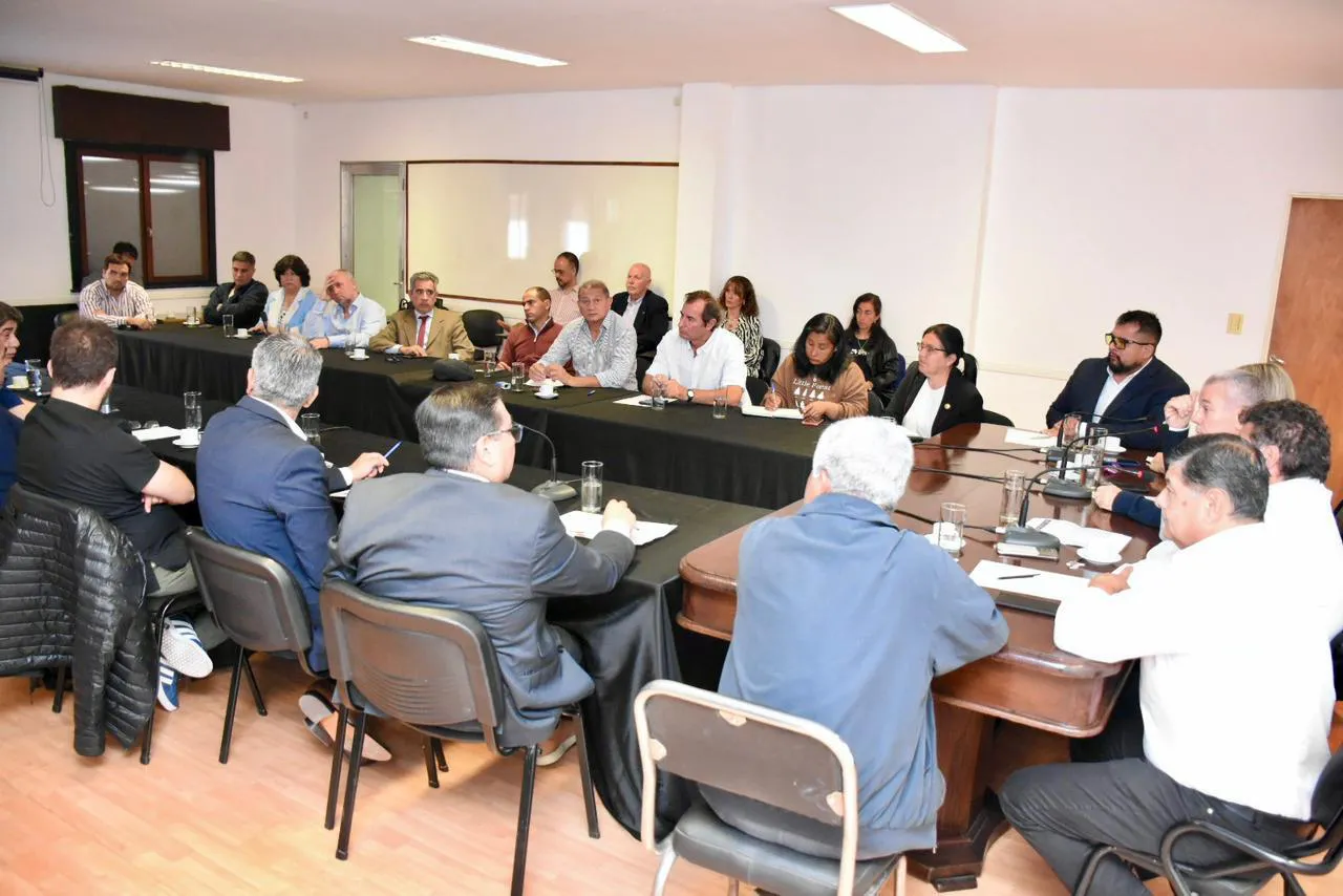 gerentes en el senado