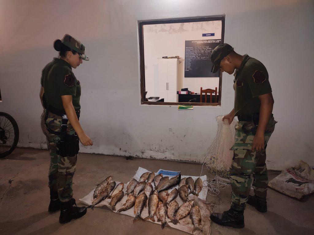 Sábalo decomisado 02