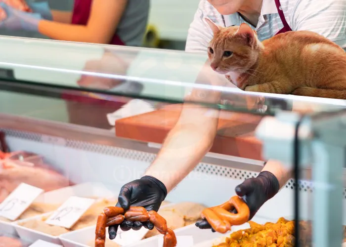 WhatsApp Image 2026-01-13 at 12.01.29