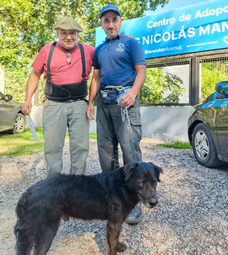 obama adopción mascotas 2