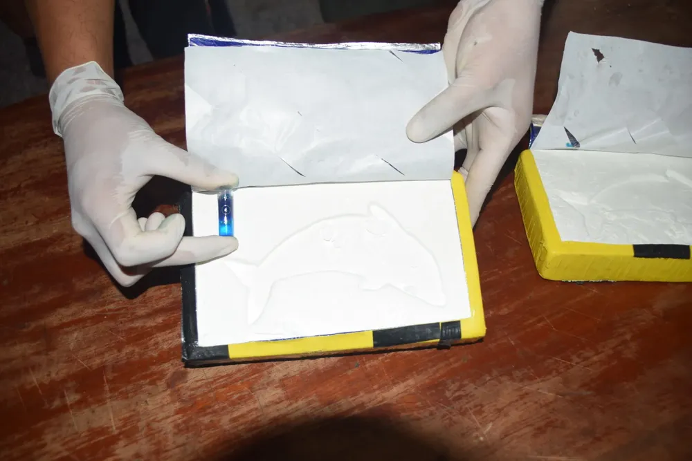 cocaina orán gendarmería parlante aguas blancas2