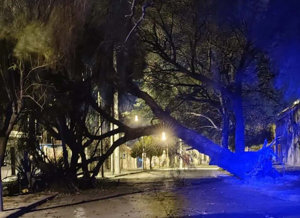 WhatsApp Image 2025-08-19 at 09.58.19