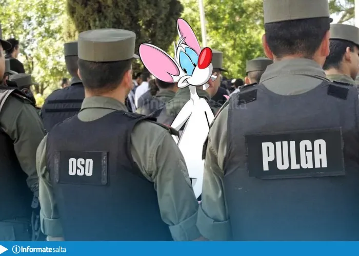 WhatsApp Image 2026-01-16 at 11.31.06 (1)