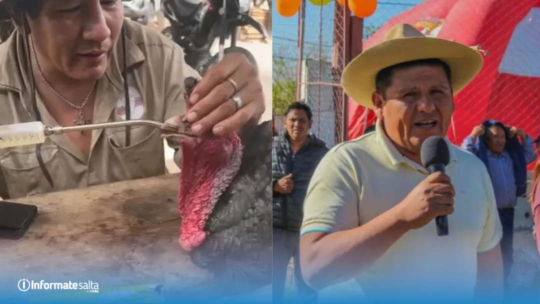 Guaimas - Maltrato animal