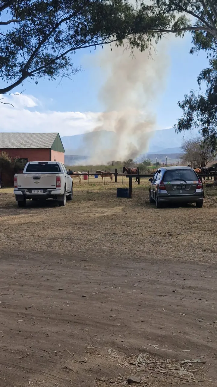 WhatsApp Image 2024-08-06 at 16.42.03