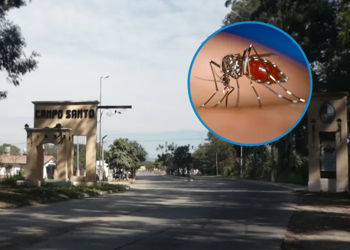 Campo Santo - dengue
