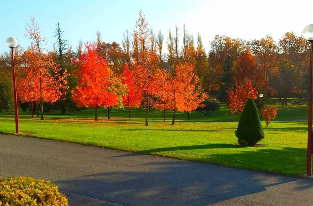 Imagen de WhatsApp 2024-11-12 a las 12.47.23_2d7e0d98