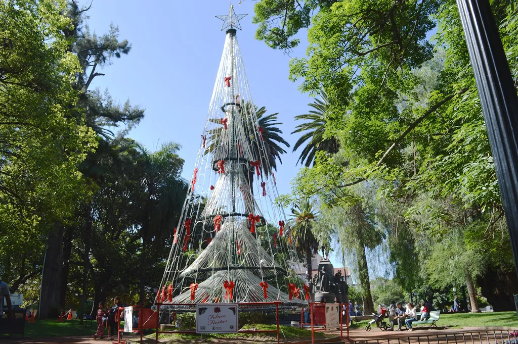 arbol Plaza 9 de Julio