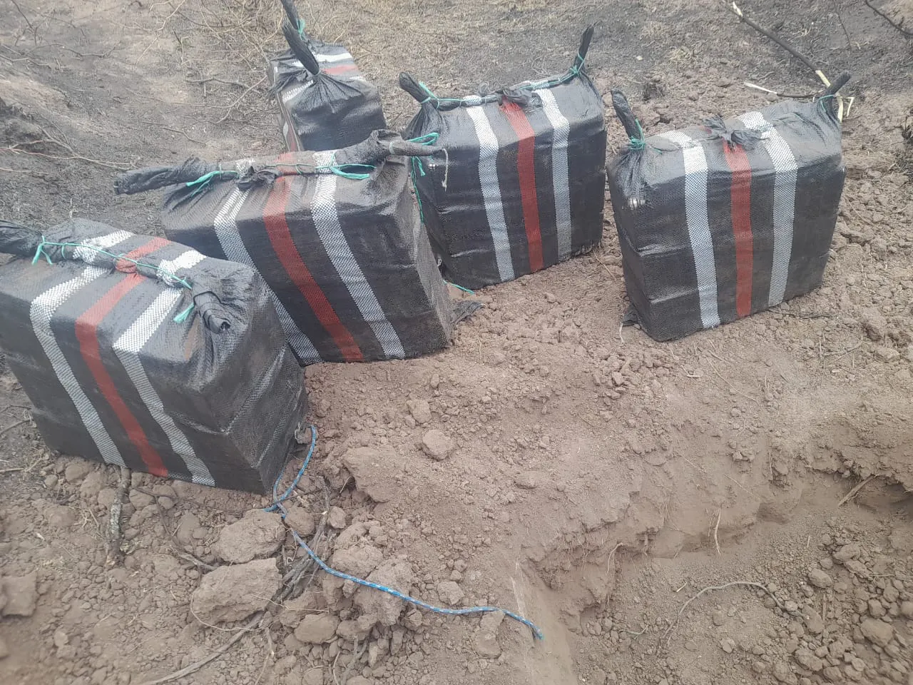 Cocaína enterrada 01