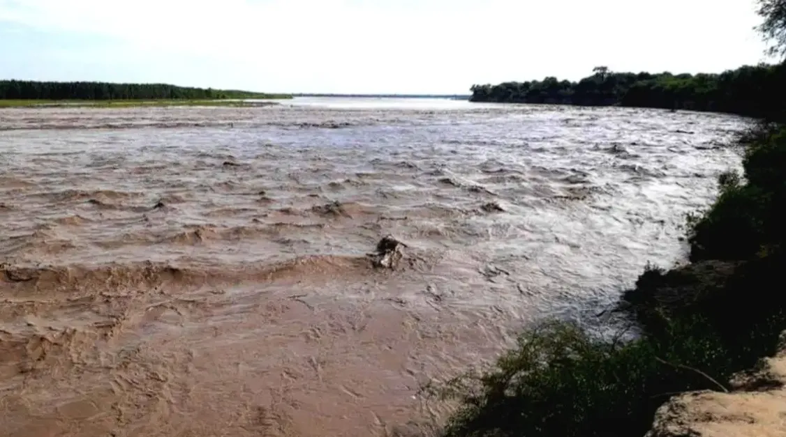 imagen_2026-01-02_115904310