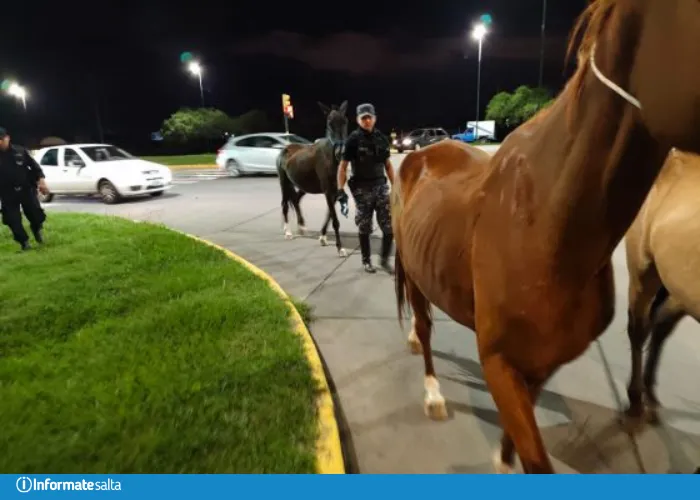 Aeropuerto aerolinas flybondi