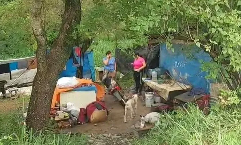 familia metán temporal