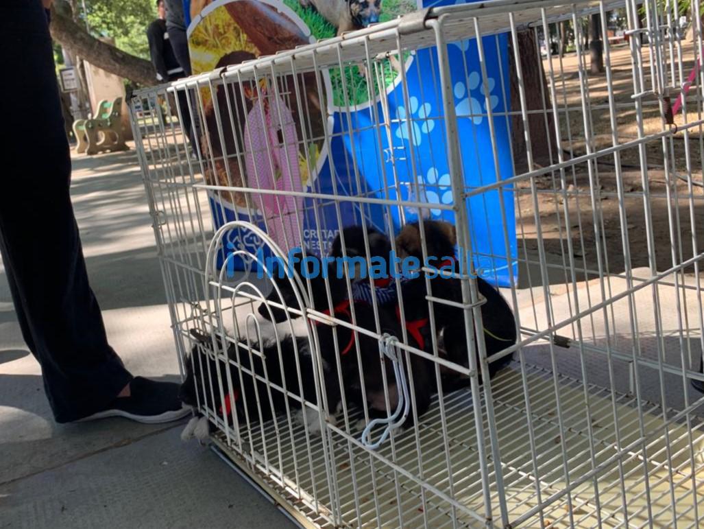 WhatsApp Image 2024-04-29 at 11.30.12 (1)