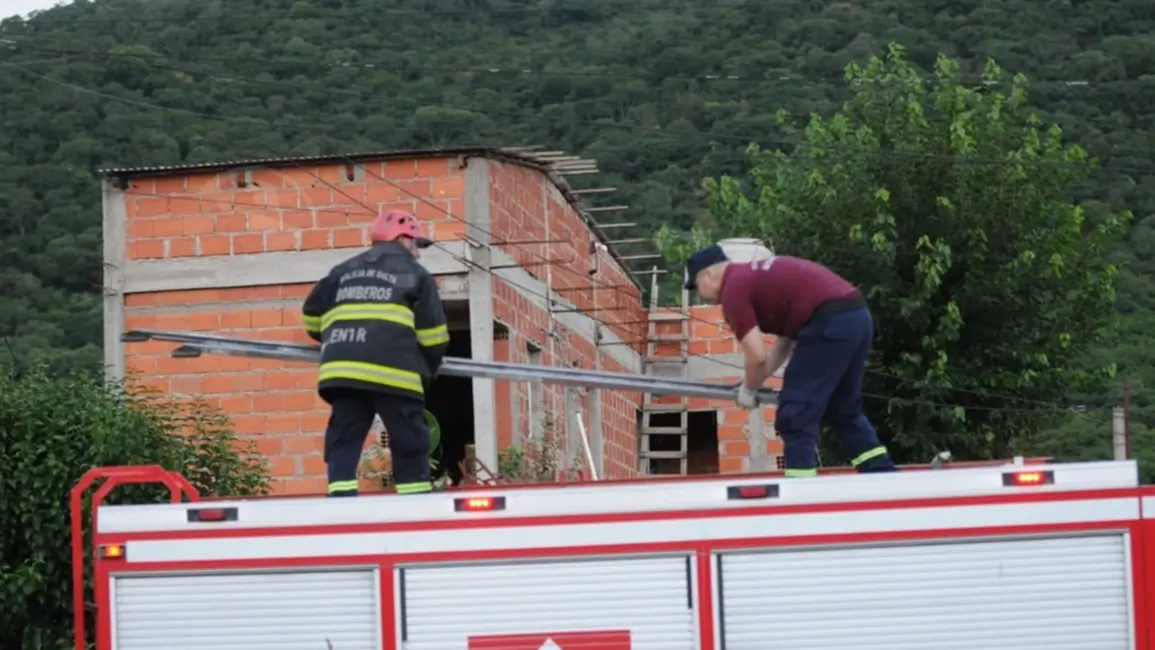 wmremove-transformed (1)