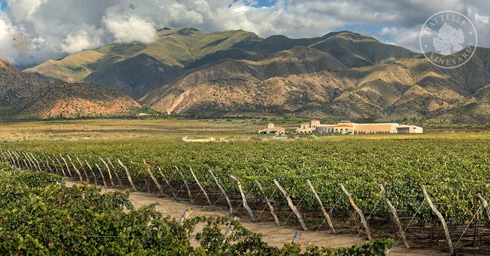 Bodega Piattelli Cafayate 2