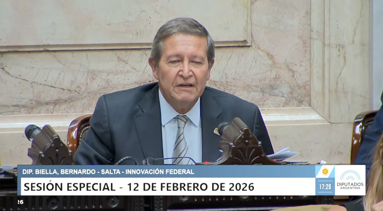 bernardo biella diputados baja en la imputabilidad