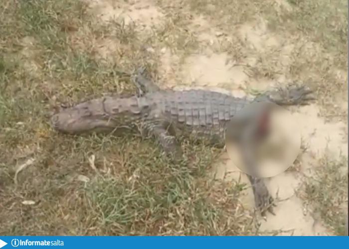 WhatsApp Image 2023-03-23 at 17.13.42