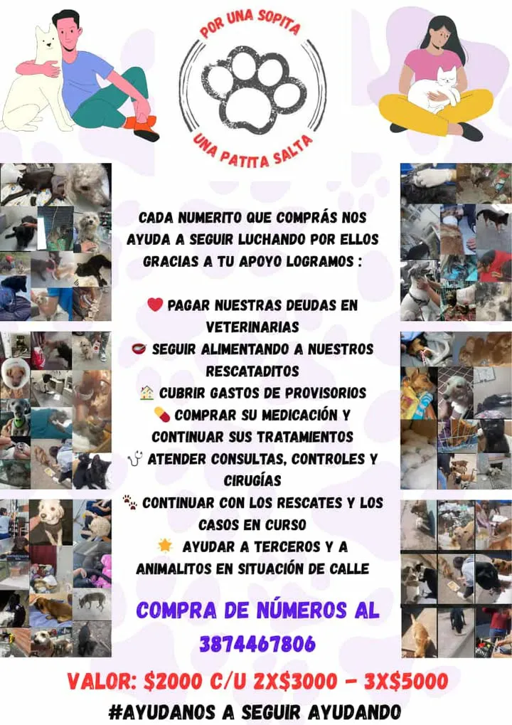 WhatsApp Image 2025-11-05 at 12.56.41 (1)