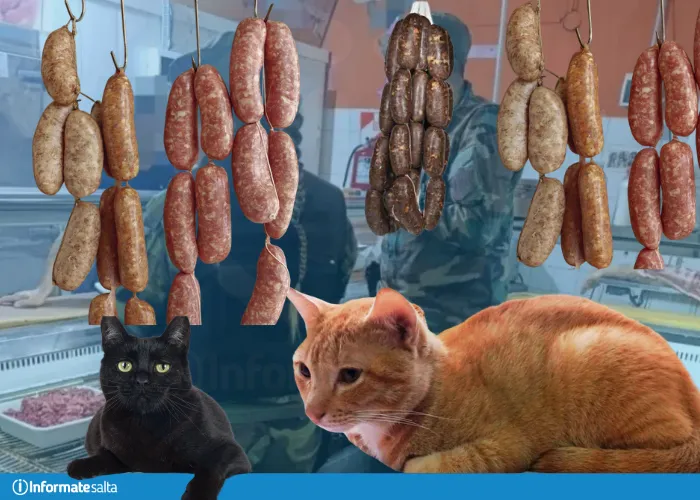 chorizos gatos carniceria