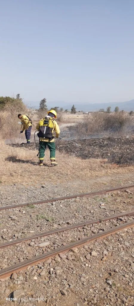 Incendio pastizales 02
