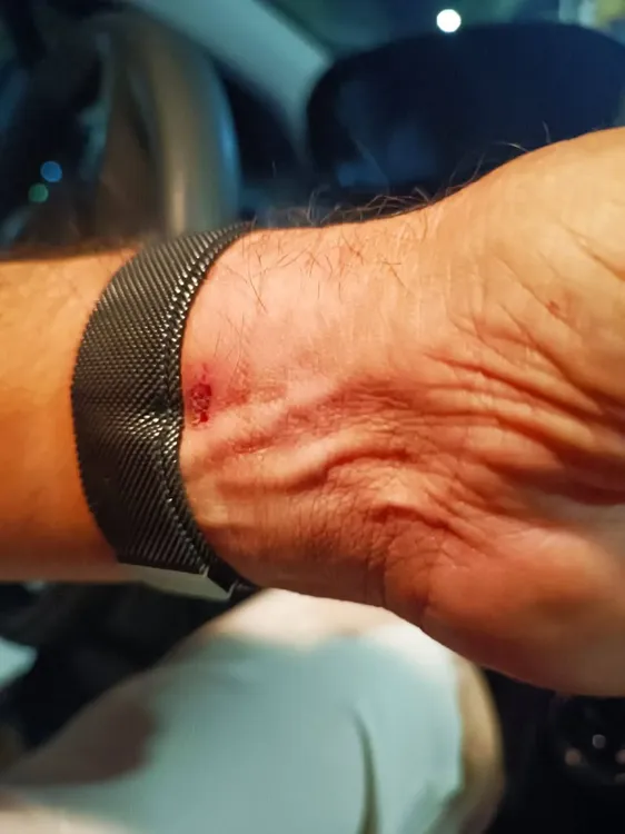 471621025_1162547362538386_3369248104584444460_n