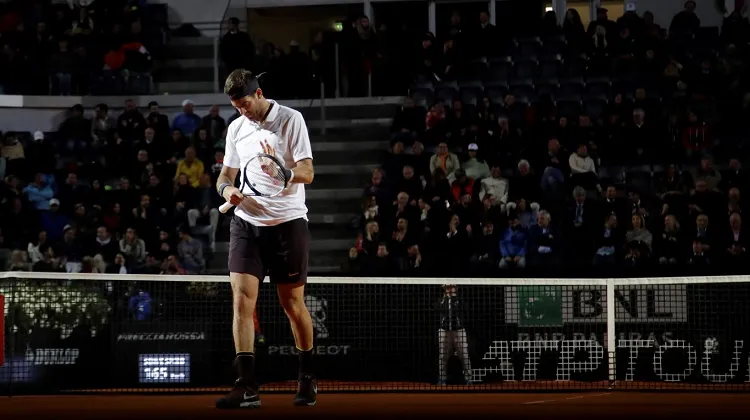 juan martin del potro