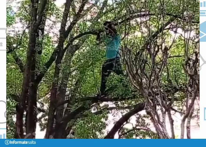 WhatsApp Image 2025-12-04 at 1.08.51 PM