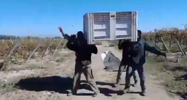 cosecheros de Cafayate