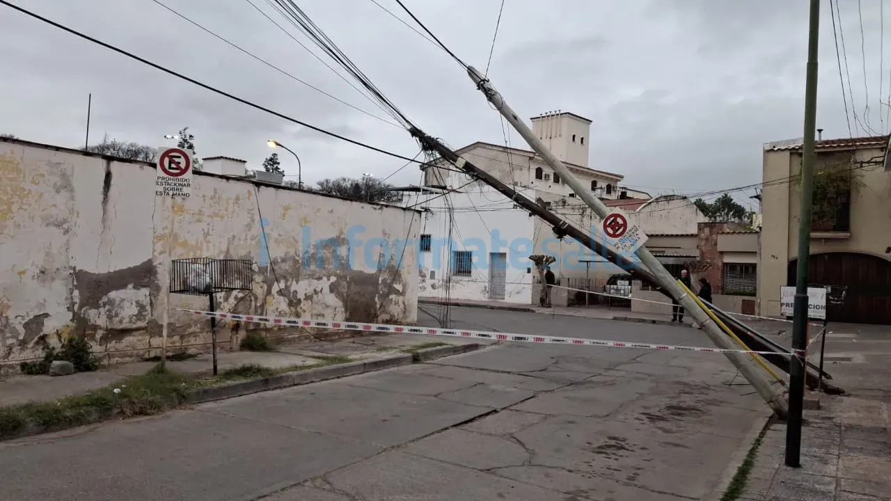 postes caídos en Puch