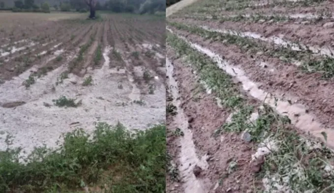emergencia agropecuaria
