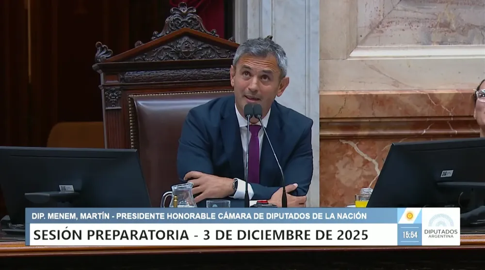martín menem