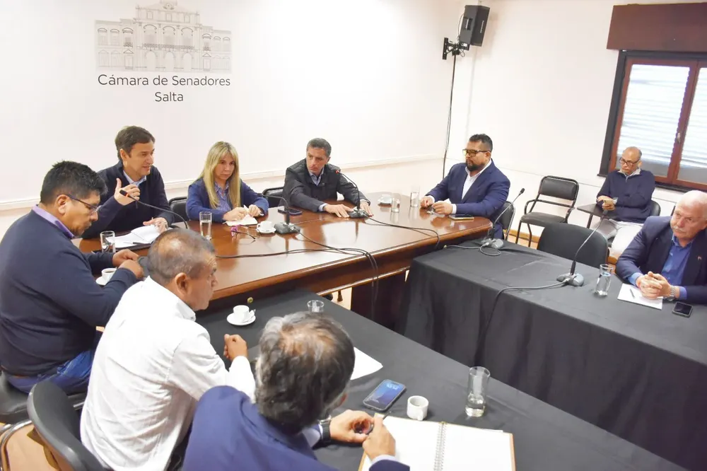 metanoia en el senado