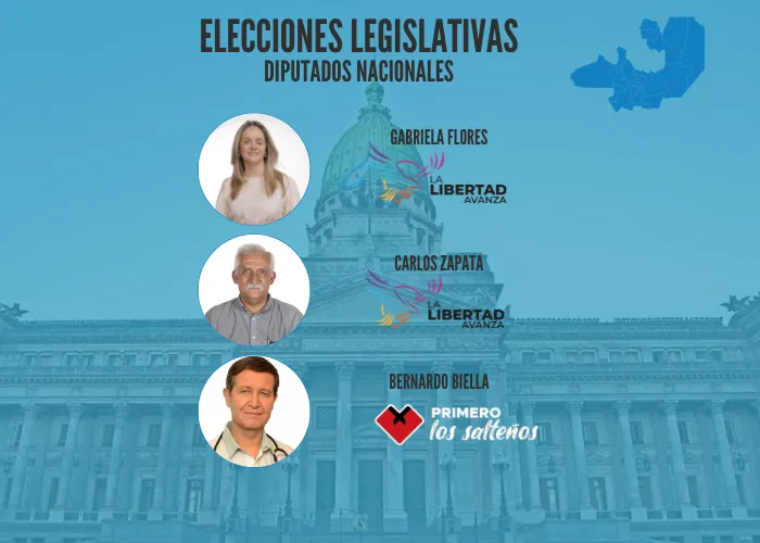 diputados