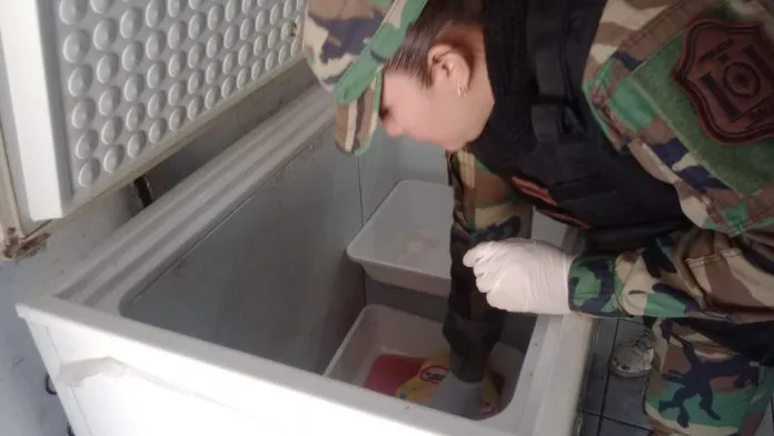 pollos en mal estado