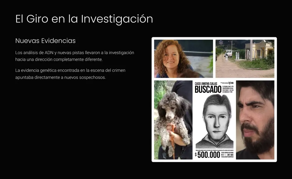 4_El-Giro-en-la-Investigacion