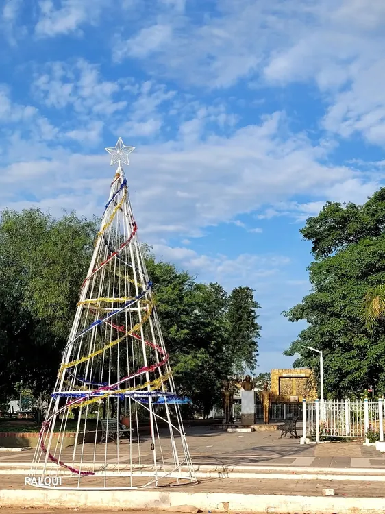 Arbolito Apolinario Saravia