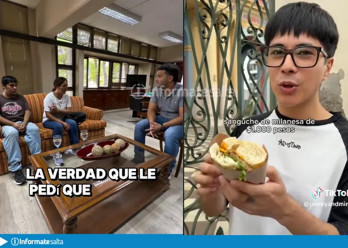 punky sandwich de milanesa (3)