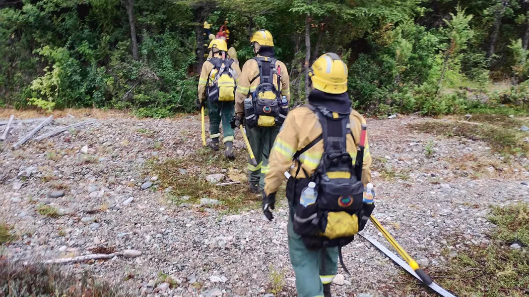 Brigadistas salteños