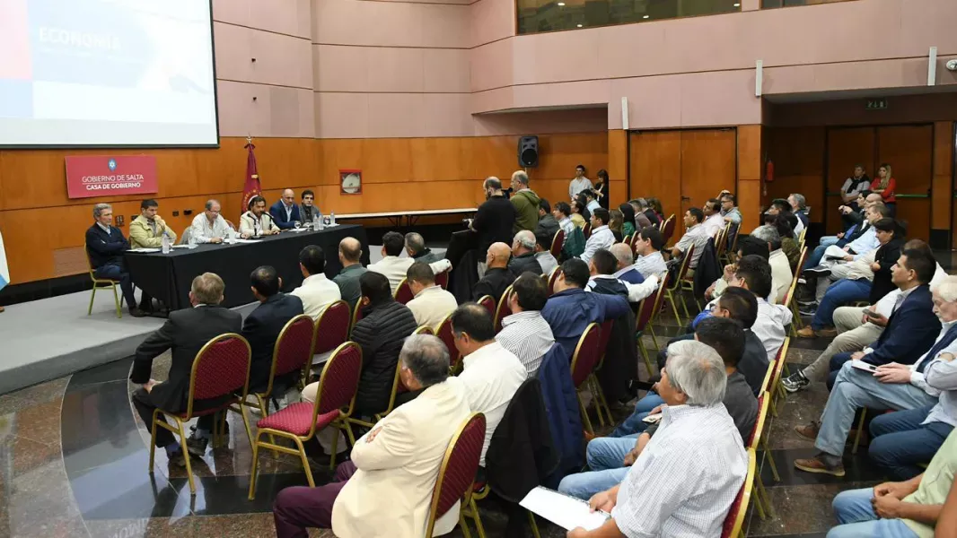 intendentes saenz presupuesto