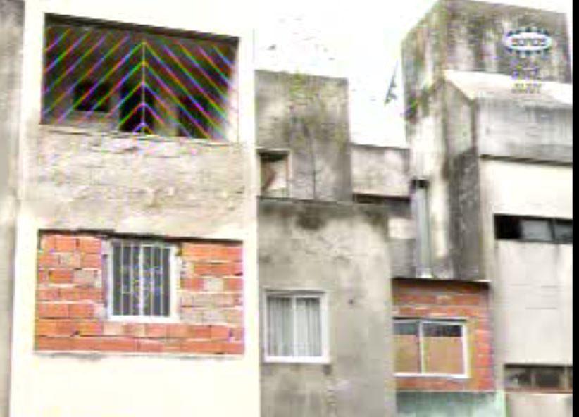 filtraciones de animales