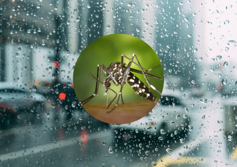 dengue lluvia