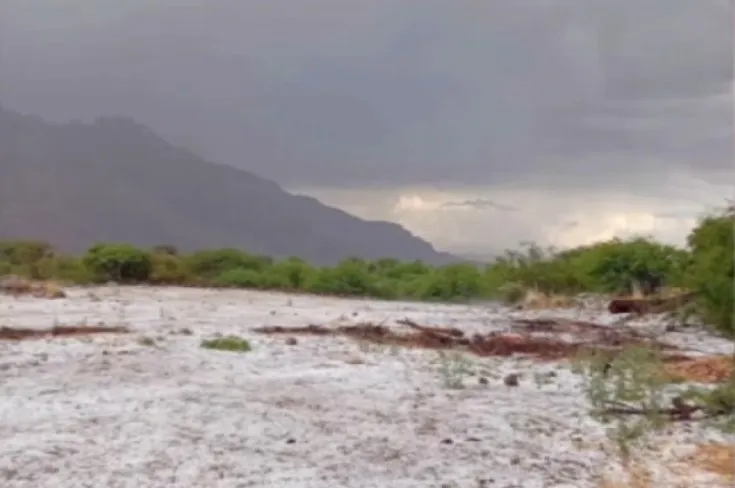 familias agropecuarias granizo en palermo oeste